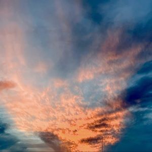 Meet your Posher, Turd